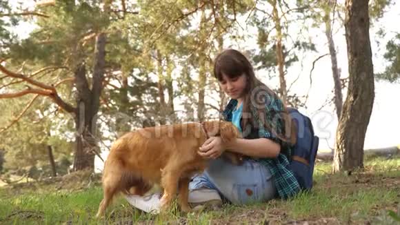 美丽的女孩和宠物一起旅行森林里的旅游女孩和一只狗停了下来情妇玩猎狗情妇视频的预览图