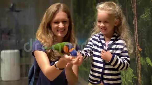 白人妈妈和小女儿很高兴在动物园喂鹦鹉万向节运动视频的预览图