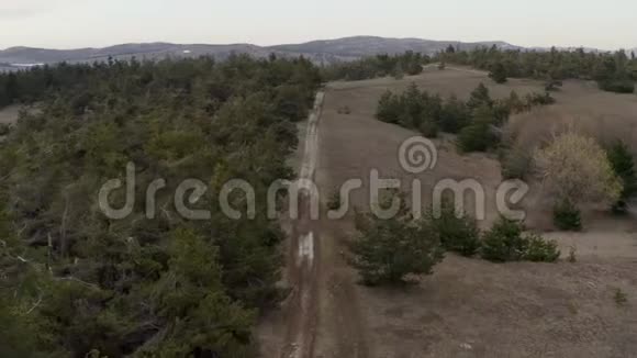 泥土山路沿松林行山谷风景如画视频的预览图