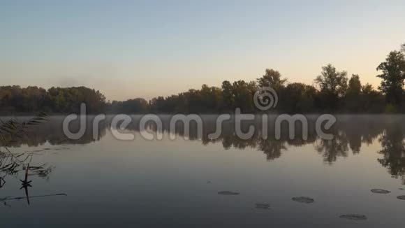 河岸上的日出景观与森林的地平线和烟雾的水面视频的预览图