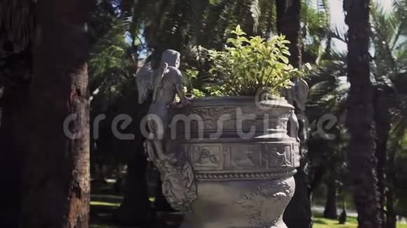 花园里有一个古色古香的花瓶在阳光下有一个小天使上面有棕榈树视频的预览图