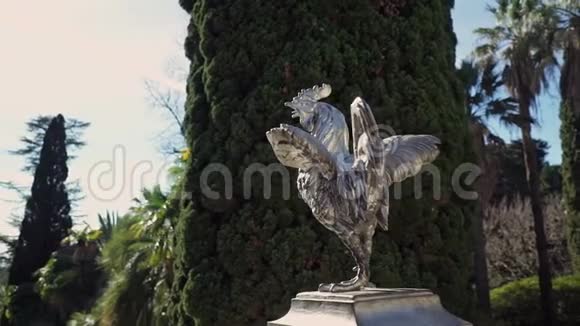 在阳光明媚的日子里一只美丽的公鸡的银色雕像映衬着苍柏视频的预览图