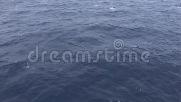 海洋中的海水表面视频的预览图