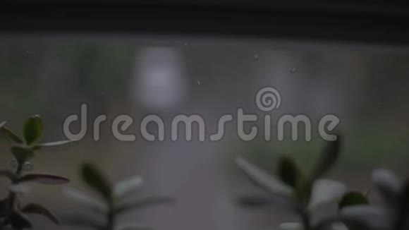 概念灰色阴影日郁闭聚焦区在窗口与雨滴和大雨的街道心理视频的预览图