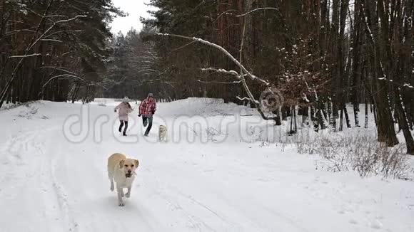 在冬天的森林道路上十几岁的孩子带着拉布拉多犬奔跑视频的预览图