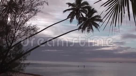 清晨的热带泻湖景象视频的预览图