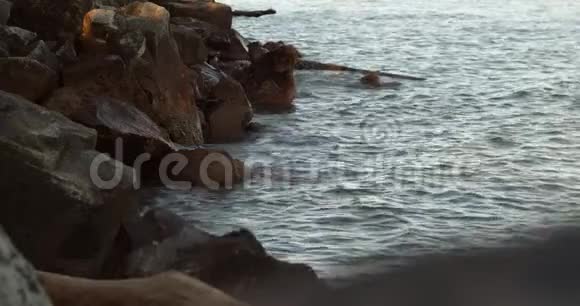秋天的傍晚海水在岸上冲刷着大石头心情平静视频的预览图