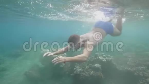 快乐的游客戴着面具的自由潜水员正在海底珊瑚礁中游泳热带度假概念视频的预览图