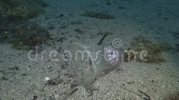 塑料污染塑料咖啡杯位于沙底地中海海底塑料咖啡杯视频的预览图