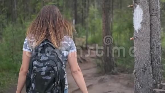 带背包的女旅行者穿过森林视频的预览图