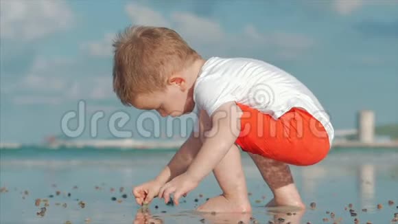可爱的孩子在海边玩耍孩子在热带海滩上捉到活的贝壳螃蟹视频的预览图