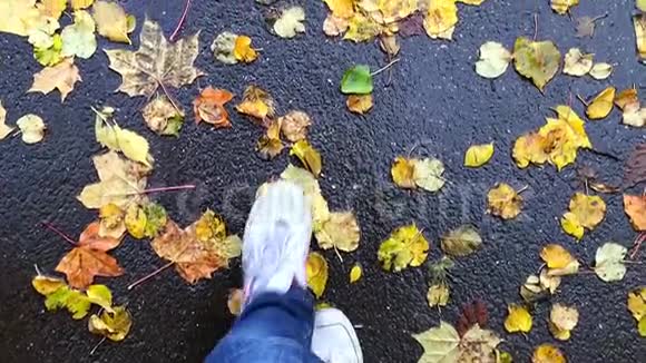 一个人沿着秋叶走视频的预览图