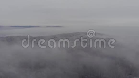升雾和冬林视频的预览图