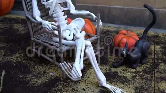 万圣节庆祝活动中南瓜和黑猫旁边的椅子上有骷髅视频的预览图