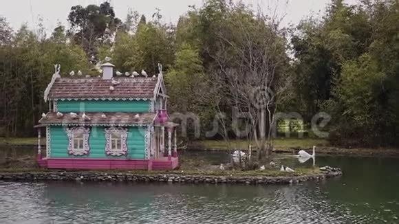 两只雪白的天鹅正在彩色鸟舍附近的天鹅湖上游泳视频的预览图