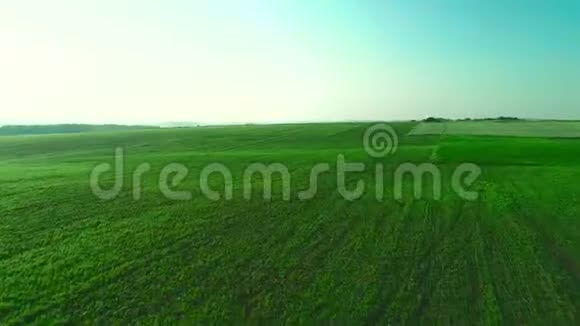 空中无人机飞越绿色生长的田野4K视频的预览图
