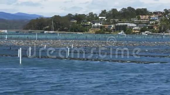 新南威尔士州梅林布拉的牡蛎架和桥视频的预览图