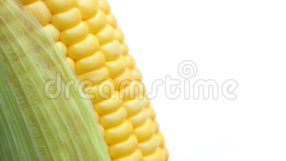 玉米在孤立的白色上视频的预览图