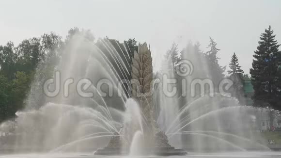 莫斯科城市公园有温泉和水粉的麦头喷泉VDNKh慢动作专注的视角视频的预览图