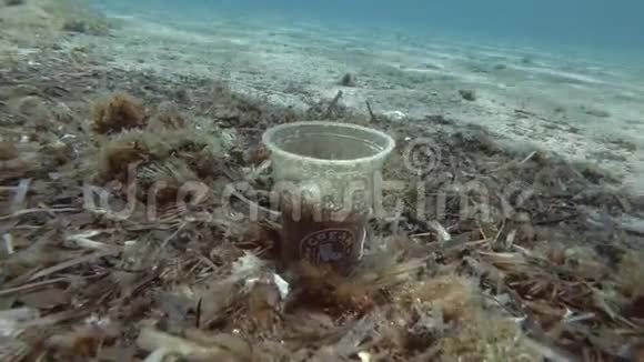 塑料污染塑料咖啡杯底部覆盖藻类海底的塑料碎片塑料垃圾视频的预览图