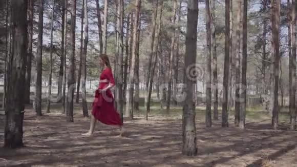 美丽的女人穿着红色的长裙走在森林里女性柔情和谐生活理念壮观视频的预览图