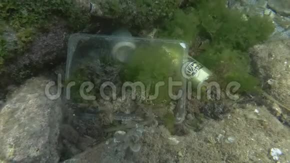地中海沿岸带底部的污染铝啤酒罐和塑料垃圾视频的预览图