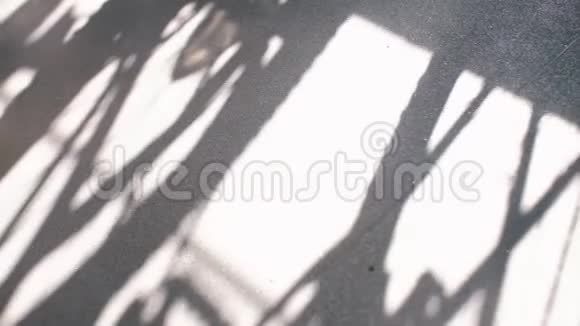 阴影和阳光在地板上的运动视频的预览图