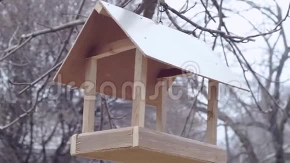 挂在树上的木制鸟舍冬季鸟类的食物视频的预览图