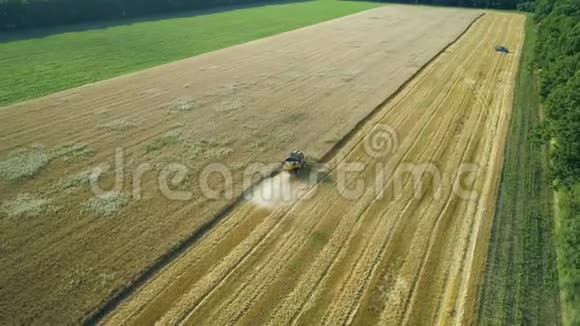 空中无人机镜头绕着收割机飞来飞去收割麦子收割粮田美丽的自然空中视频的预览图