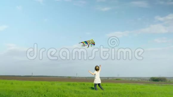 活泼开朗的小女孩在绿茵场上玩风筝视频的预览图