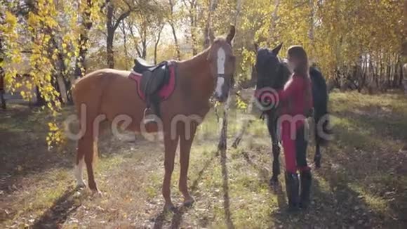 美丽的白人女性马术站在秋天的森林里两匹马穿粉色衣服的年轻女子视频的预览图