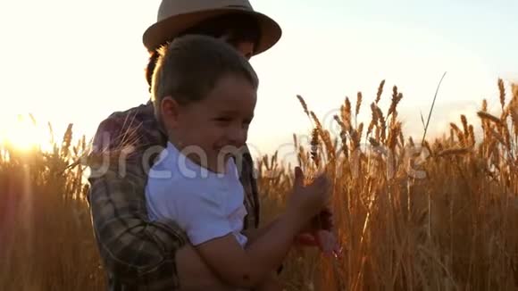 幸福的家庭母亲和小男孩正在考虑在日落时在田野里成熟的小麦小穗农业农民视频的预览图