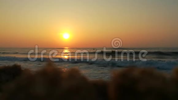 日出时带椰子树的热带海滩背景热带海滩上五颜六色的冲浪海上的蓝色日出苏视频的预览图
