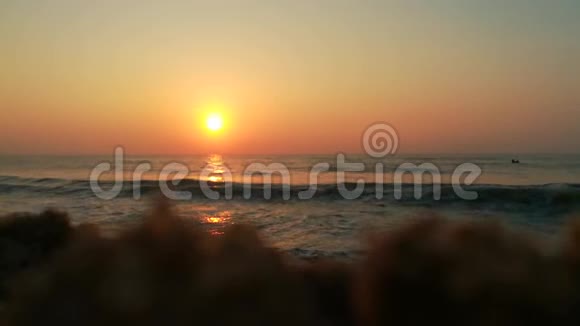 日出时带椰子树的热带海滩背景热带海滩上五颜六色的冲浪海上的蓝色日出苏视频的预览图