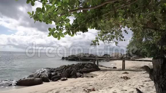 热带杏仁或塔尼亚卡帕林在海滩上海浪拍打着岩石和沙子视频的预览图