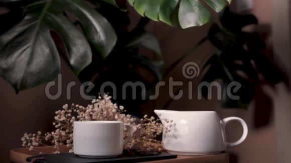 家中有牛奶的咖啡以怪物植物为背景视频的预览图