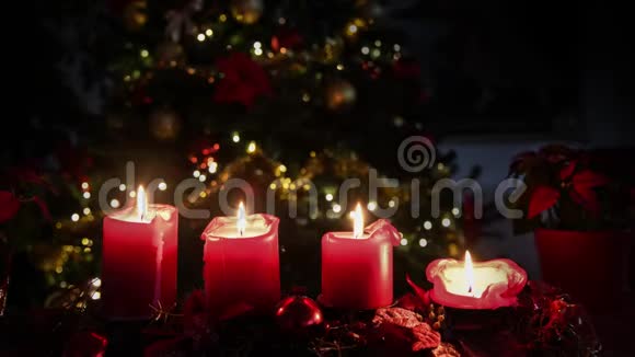 圣诞节4支蜡烛火焰红花与照亮的树背景视频的预览图