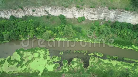 在一片沼泽森林地区空中俯瞰肮脏的河流4K视频的预览图