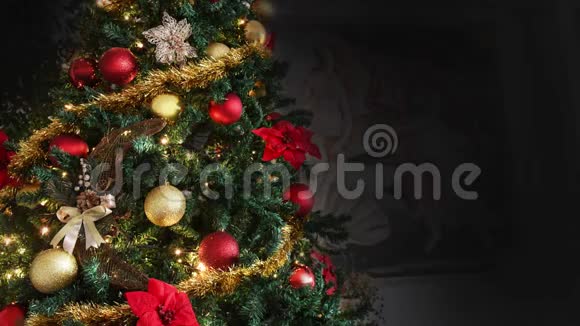 圣诞树上装饰着发光的黄金一品红植物夜象征宗教视频的预览图