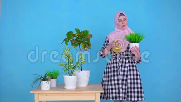 一位戴着头巾的年轻穆斯林妇女在家里给桌子上的植物喷洒药剂她微笑着看着摄像机视频的预览图