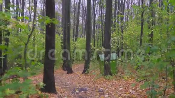 漫步在秋天的公园里3照相机在阴天经过秋天的公园视频的预览图
