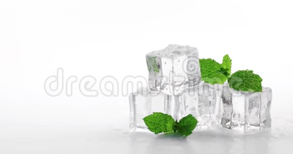 薄荷冰块在白色上视频的预览图