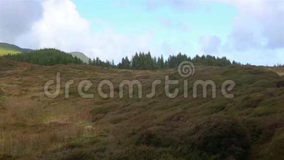 在Terceira岛PriadaVitoria市GrutadoNatal附近有蓝天和云的田野视频的预览图