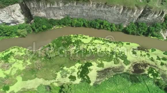 在一片沼泽森林地区空中俯瞰肮脏的河流4K视频的预览图