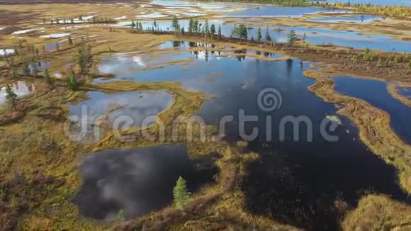 飞越西西伯利亚北部开放空间的亚马尔岛视频的预览图