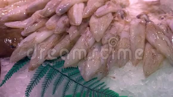 雪地里市场柜台上的鲜鱿鱼视频的预览图
