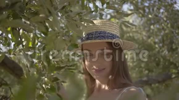 戴着草帽的年轻女子看着站在绿色夏日花园梯子上的摄像机收获时间农村视频的预览图