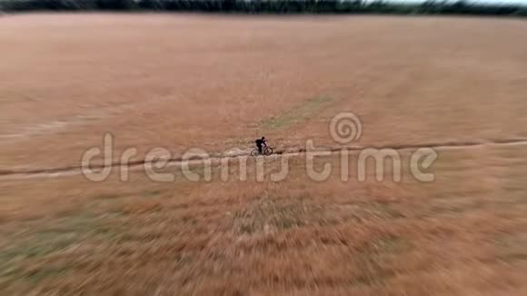 白天一个人骑自行车沿着麦田视频的预览图
