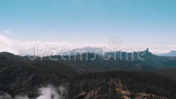鸟瞰一座火山山脉和山谷的一侧的松林加那利群岛视频的预览图