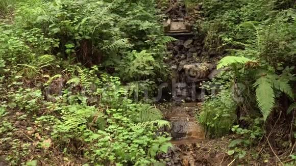 一条有岩石通道的小溪还有一条野林中的瀑布视频的预览图